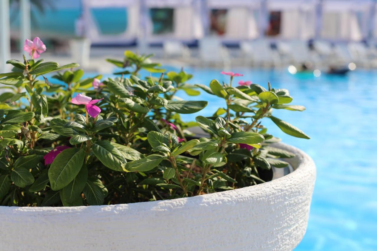 Del Mare Hotel Kapchagay Bagian luar foto